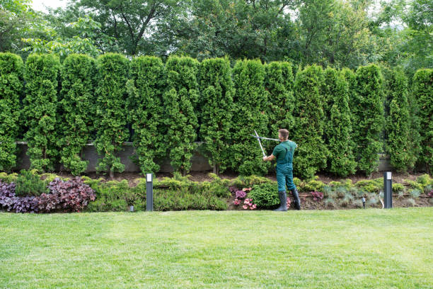 Best Aeration Services  in Grace, ID
